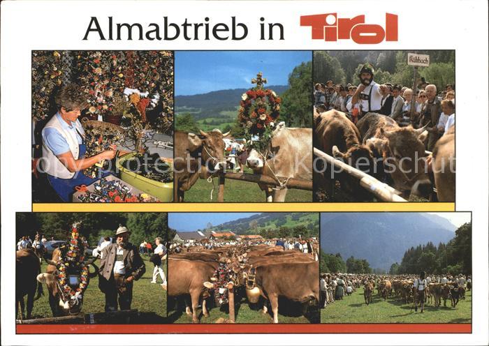 Rum Tirol Almabtrieb Tirol