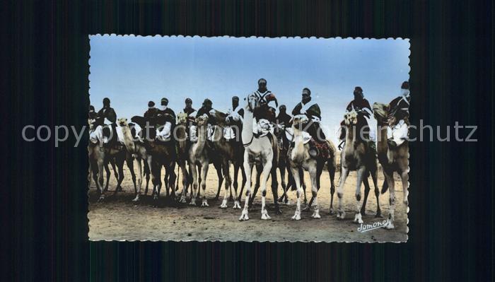Scenes et Types Nr. 85 Groupe de Touaregs a Mehari Kamele