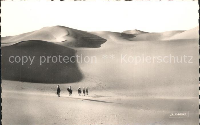 Kamel  Camel Chameau Collection Saharienne Dans l'immensite des sables Wueste