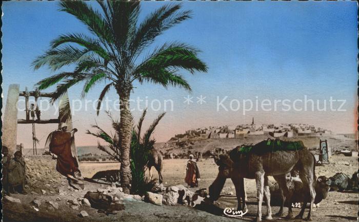 Kamel  Camel Chameau Collection Artistique L'Afrique Nr. 492 Abreuvoir pres des