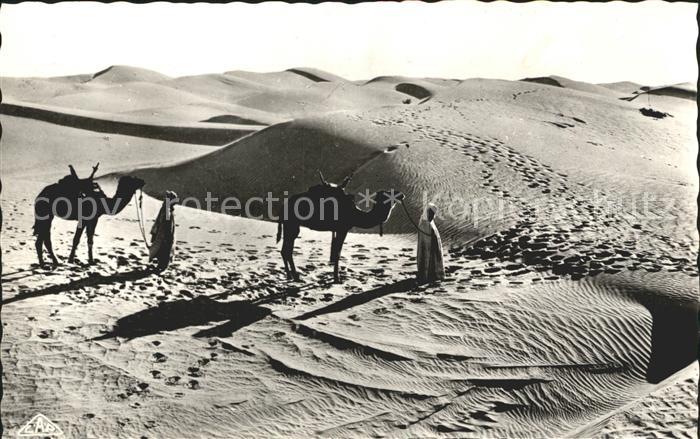 Scenes et Types Nr. 1122 Passage des Dunes de Sable au Dese