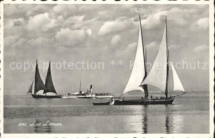Segelboote Seitenraddampfer Lac Leman