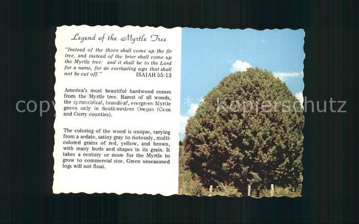 Liederkarte Legend of the Myrtle Tree