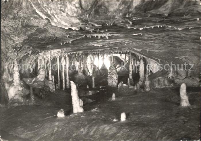 Hoehlen Caves Grottes Rübeland Hermannshöhle Untere Schwemmhö