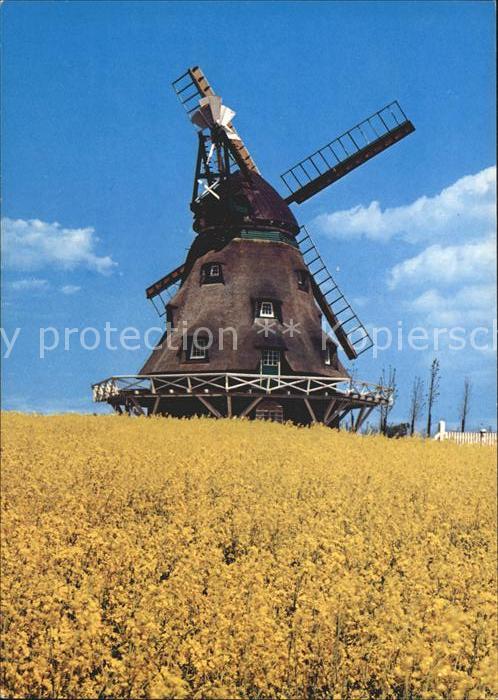 Windmuehle Ostholstein