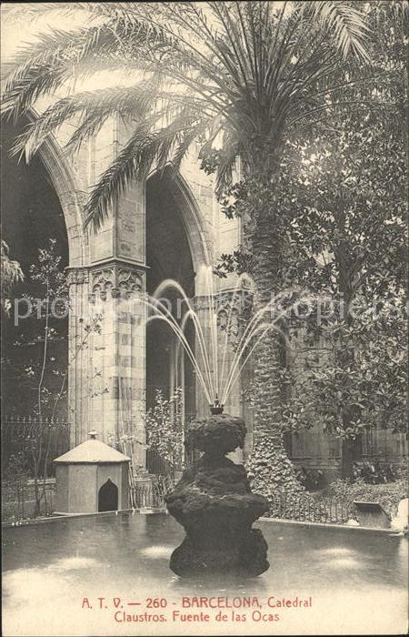 Barcelona Cataluna Catedral Claustros Fuente de la Ocas