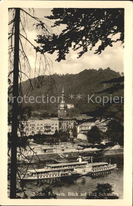 Bad Schandau Durchblick vom Waldrand Elbe Dampfer Turm