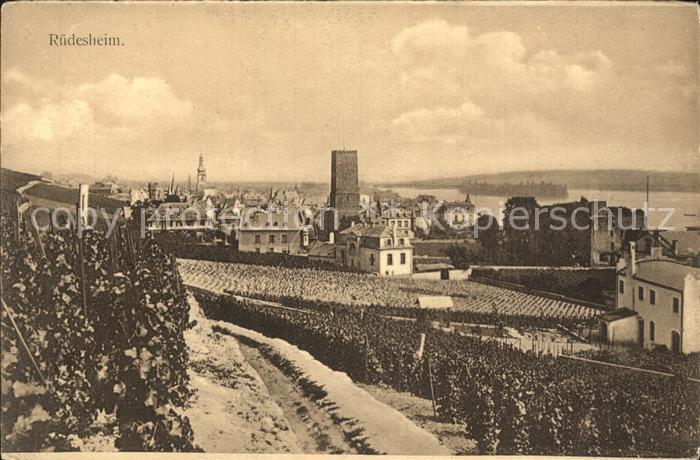 Ruedesheim Rhein Panorama Weinberge Turm
