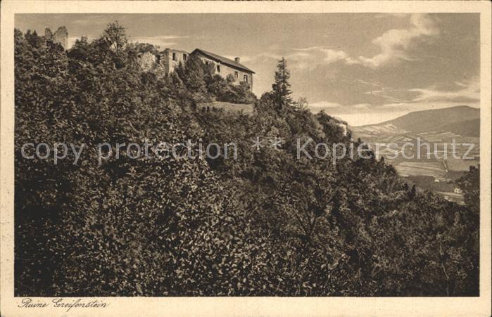 Bad Blankenburg Ruine Greifenstein Thueringer Wald