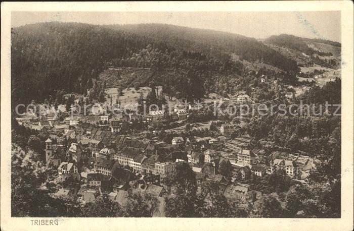 Triberg Schwarzwald Panorama