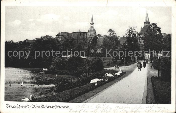 Stralsund Mecklenburg Vorpommern Promenade am Kueterdamm Schwaene