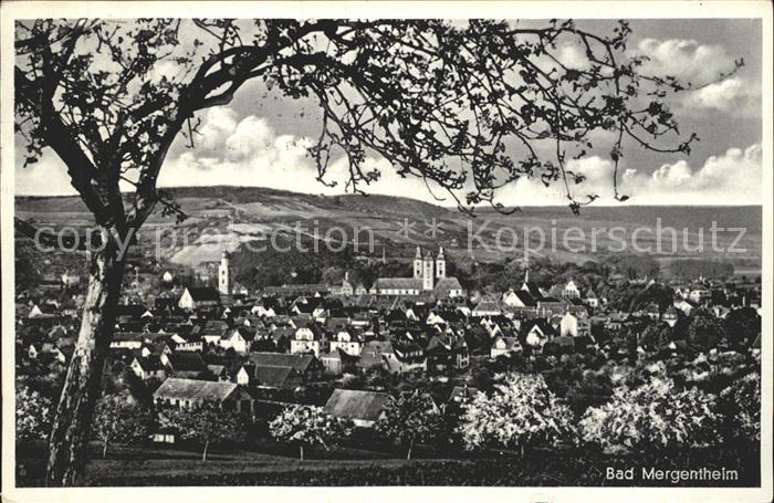 Bad Mergentheim Panorama