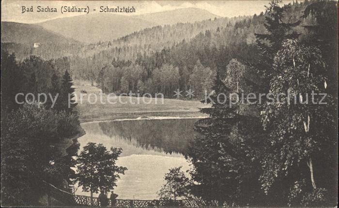 Bad Sachsa Harz Schmelzteich