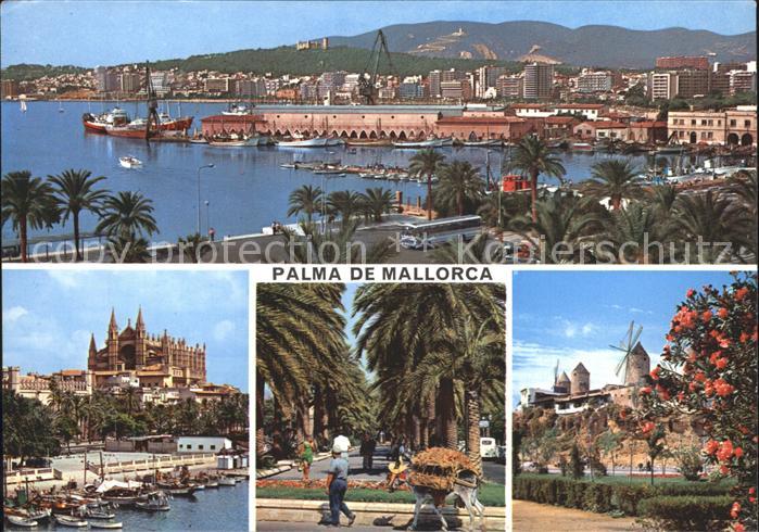 Palma de Mallorca Hafen Park Promenade Kirche