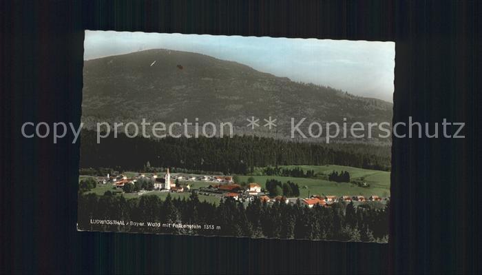 Ludwigsthal mit Falkenstein