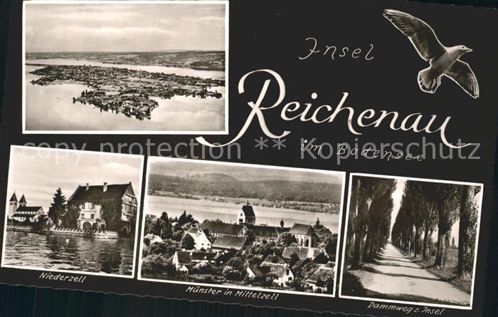 Insel Reichenau Fliegeraufnahme Niederzell Muenster Mittelzell