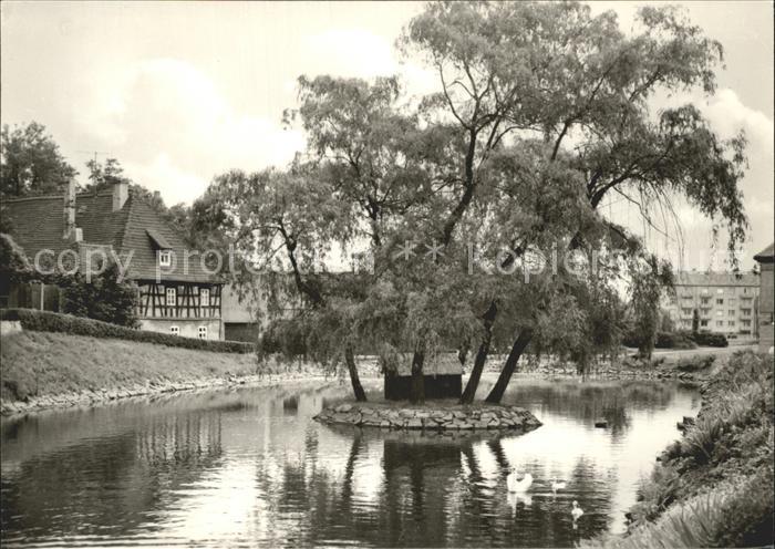 Meuselwitz Muehlteich