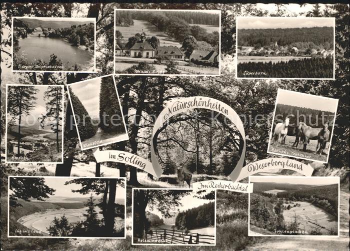 Wesergebirge Naturschoenheiten im Solling