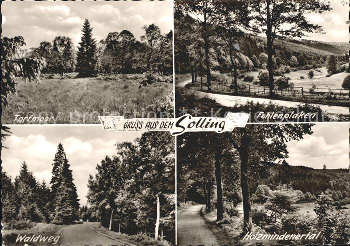 Neuhaus Solling Hotel Sollinger Hof Torfmoor