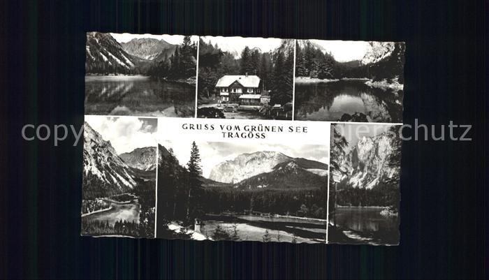Tragoess Rund um den Gruenen See Alpenpanorama