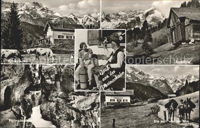 Partnachalm Berghuette Alpspitze Lastesel Alpenpanorama Partnachklamm