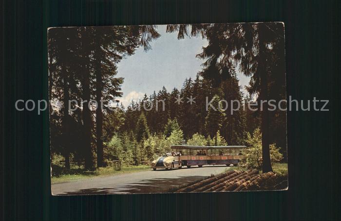 FREUDENSTADT BW Waldbaehnle Heilklimatischer Hoehenkurort Schwarzwald