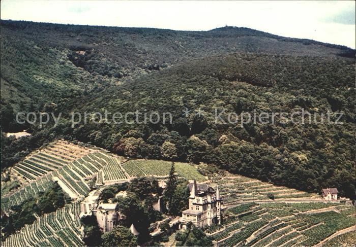 Neustadt Haardt Hotel Restaurant Haardter Schloss Fliegeraufnahme
