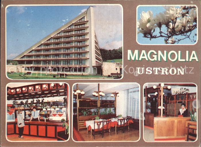 Ustron Hotel Magnolia Magnolienbaum