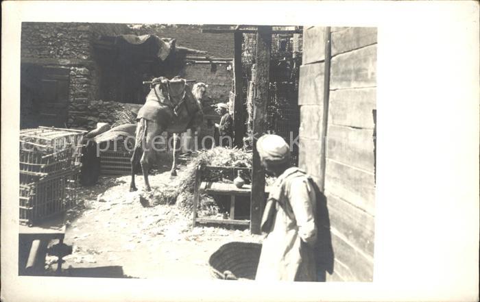 Cairo Egypt Kameltreiber