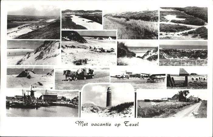Texel Strand Dünen Pferdewagen Flugplatz Hafe