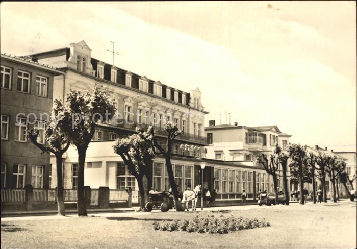 Ahlbeck Ostseebad Ostseehotel Pferdekutsche