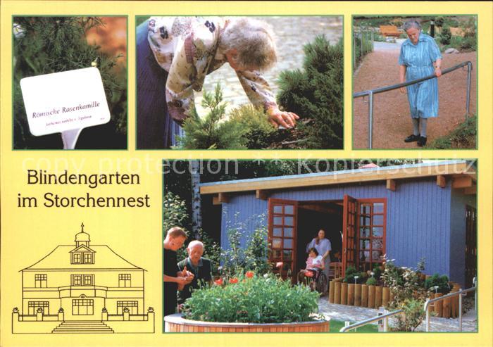 Radeberg Sachsen Blindengarten im Storchennest Roem Rasenkamille