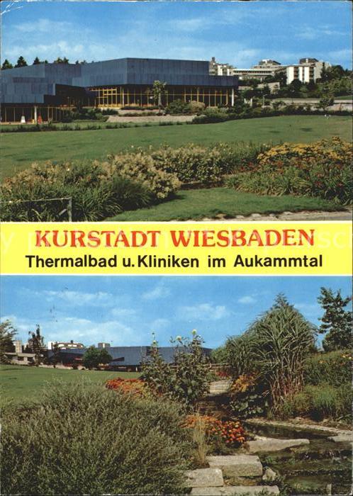 Wiesbaden Thermalbad und Kliniken im Aukammtal