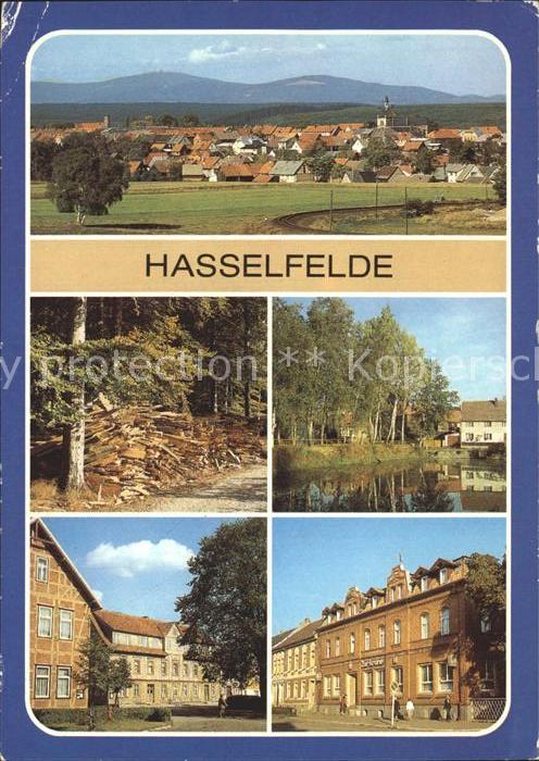 Hasselfelde Stadtblick Holzkoehlerei Teichstr Markt FDGB Heim Zur Krone