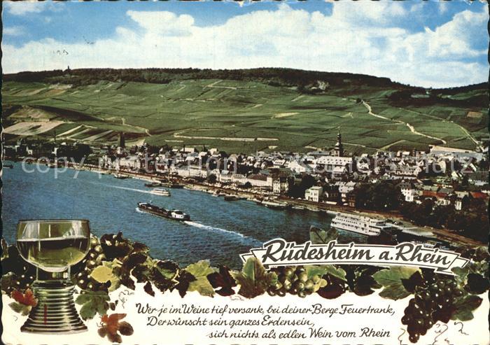 Ruedesheim Rhein Panorama