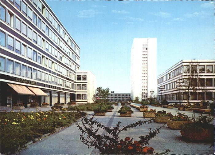 Bonn Rhein Tulpenfeld Pressehaus