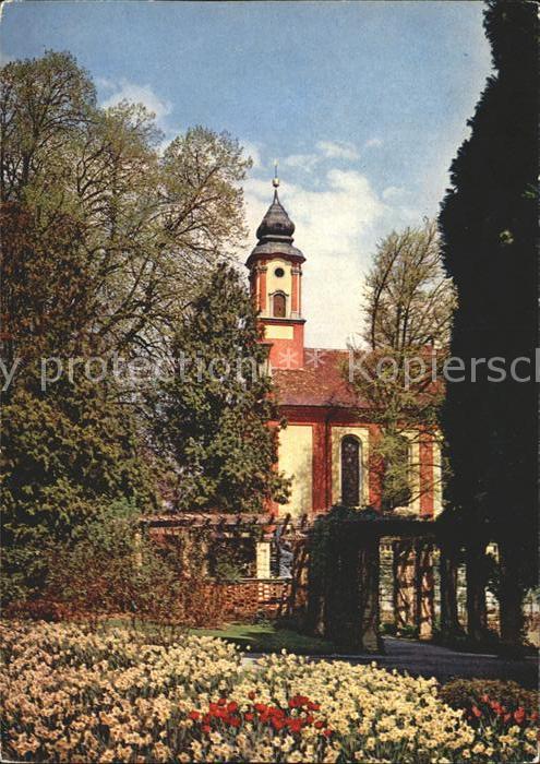 Mainau Narzissenwiese Schlosskirche