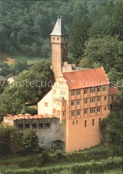 Hirschhorn Neckar Fliegeraufnahme Schloss Hirschhorn