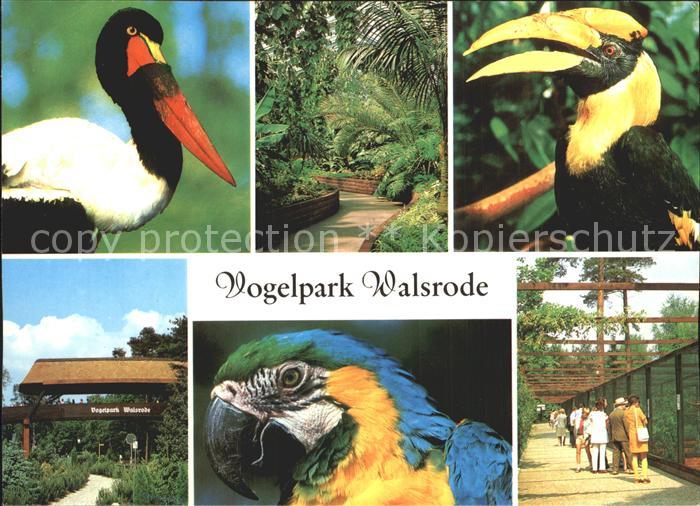Walsrode Lueneburger Heide Vogelpark