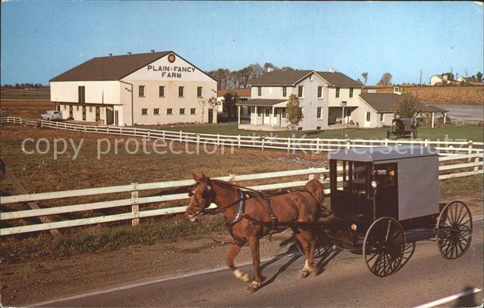 Pikes Peak Plain and Fancy Farm Pferdekutsche