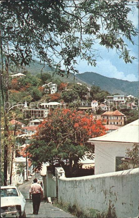 St Thomas Virgin Islands