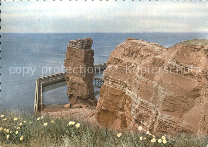 HELGOLAND Insel Schleswig-Holstein Bunte Kuh Felsenpartie