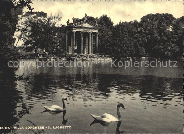 Roma Rom Villag Borghese Schwaene