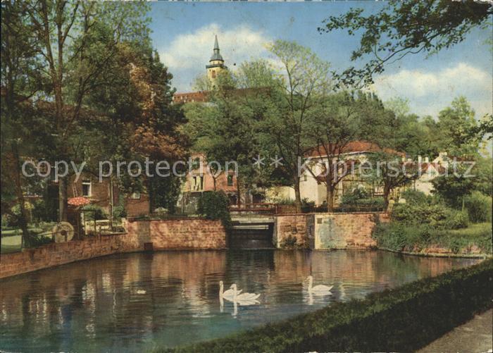 Siegburg Partie am Schwanenteich