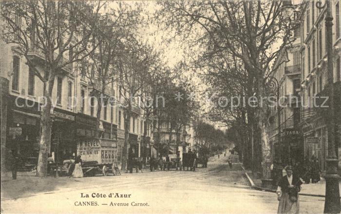 Cannes Alpes-Maritimes Avenue Carnot