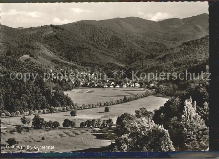 Guenterstal Freiburg Fliegeraufnahme