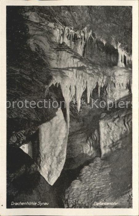 Hoehlen Caves Grottes Drachenhöhle Syrau Elefantenohr