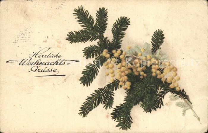 Weihnachten Tannenbaumzweig Bluemn Litho