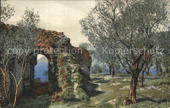Verlag Photochromie Nr. 1850 Baeume Ruine
