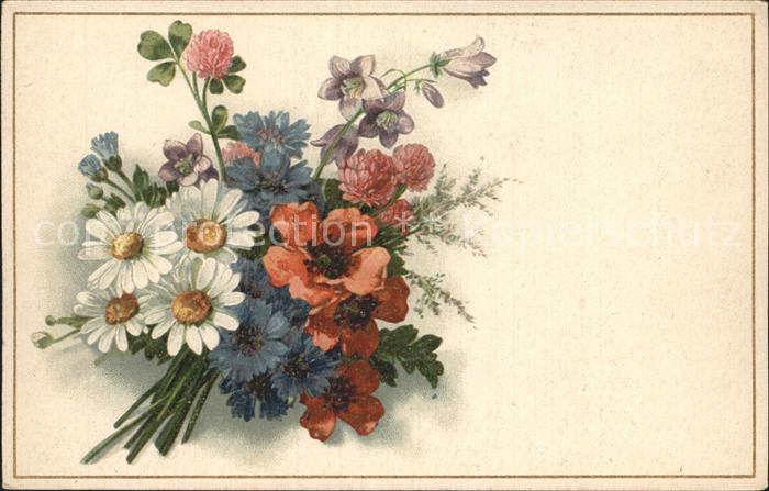 Blumen Mohnblumen Margeriten Kornblumen Litho